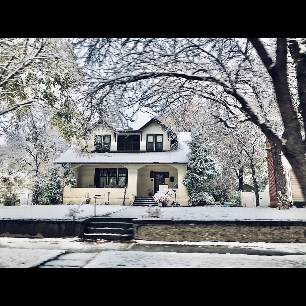 Meet your Posher, Luz